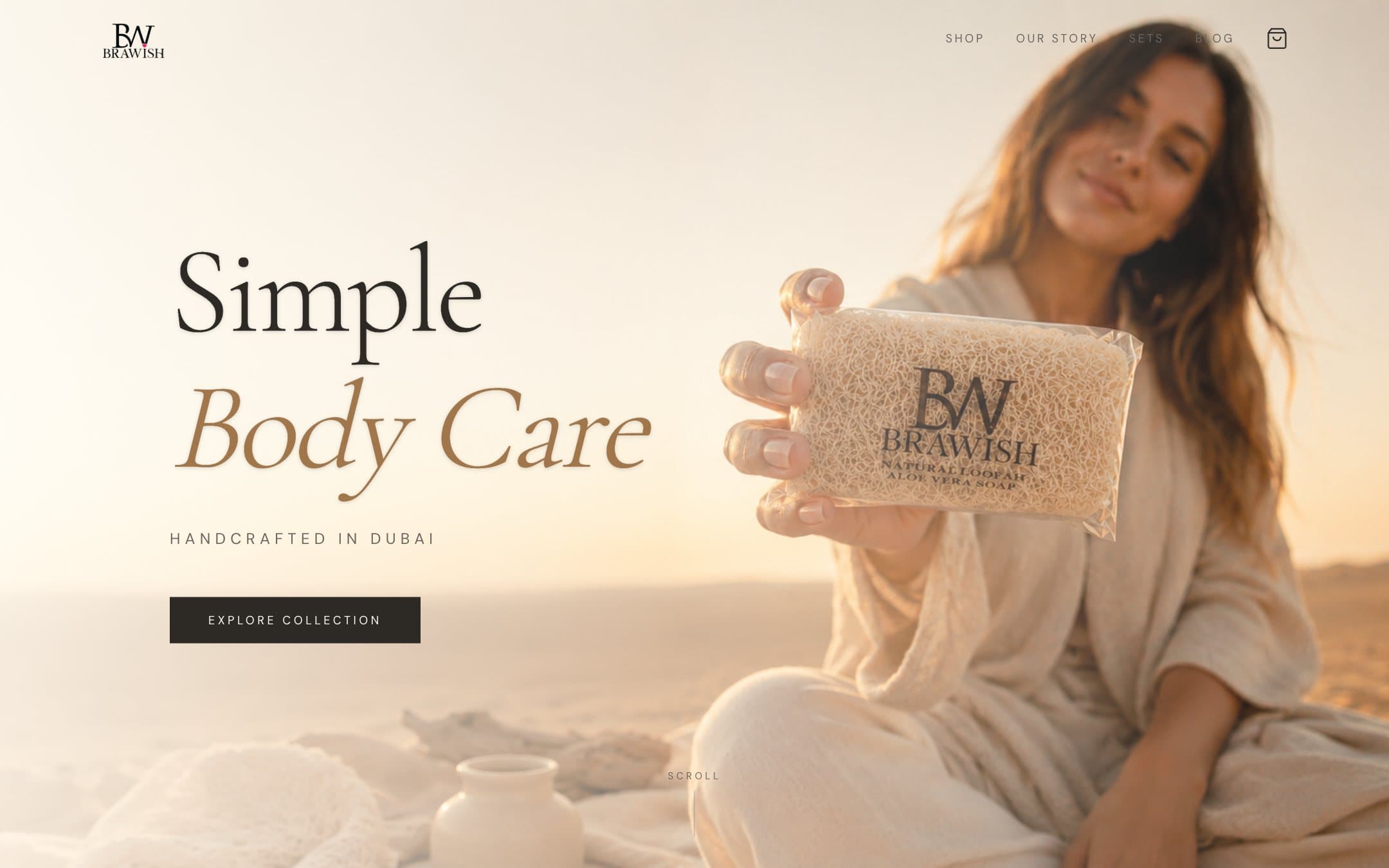 Brawish website preview